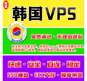 韩国VPS机房4096M国外，网站怎样seo优化